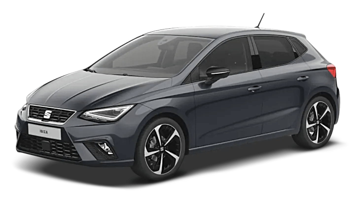 Seat Ibiza Metano in offerta